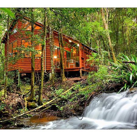 The Mouses House Rainforest Retreat Спрингбрук Екстериор снимка