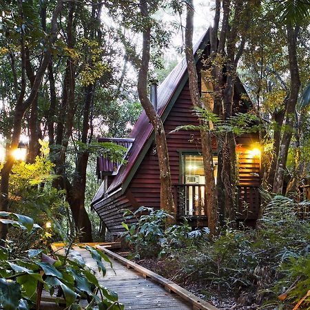 The Mouses House Rainforest Retreat Спрингбрук Екстериор снимка