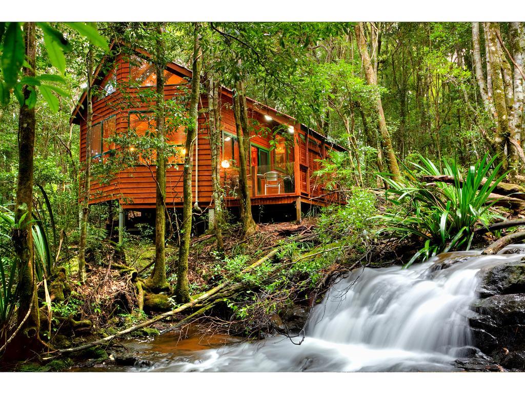 The Mouses House Rainforest Retreat Спрингбрук Екстериор снимка