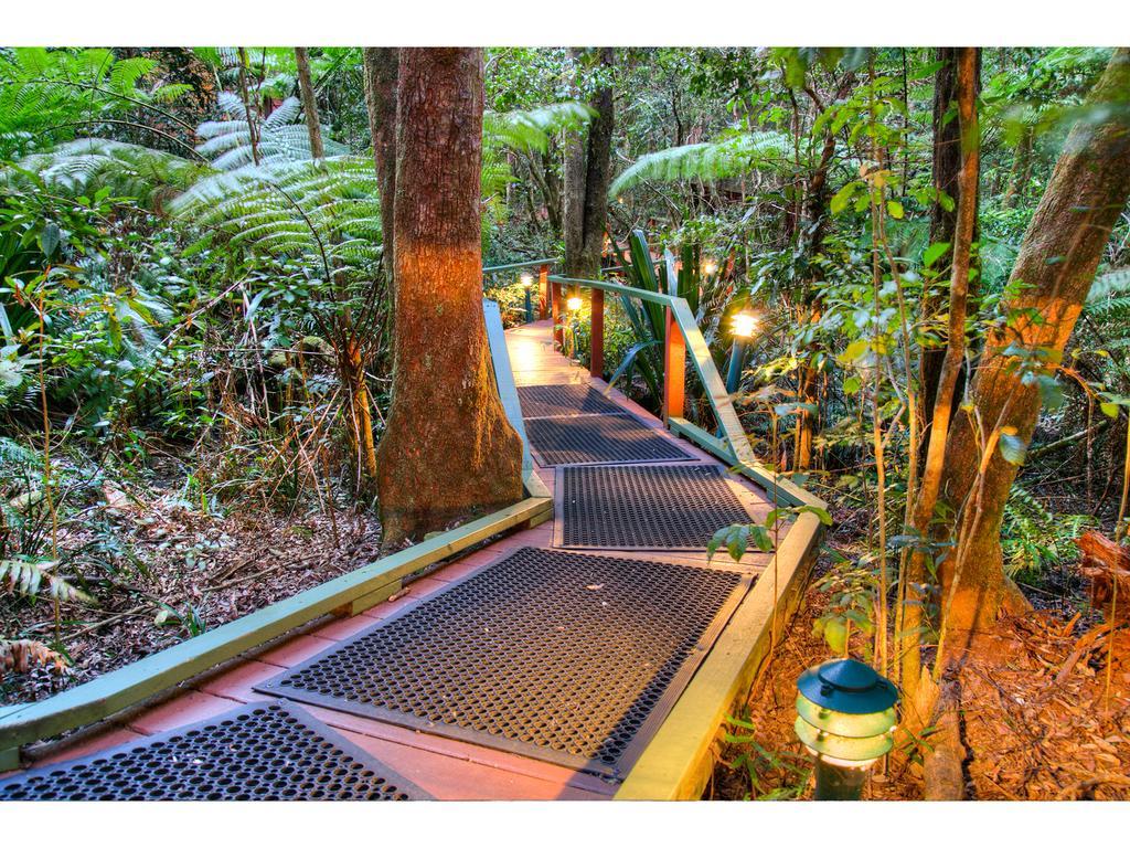 The Mouses House Rainforest Retreat Спрингбрук Екстериор снимка