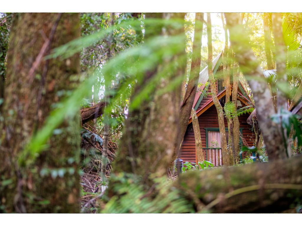 The Mouses House Rainforest Retreat Спрингбрук Екстериор снимка