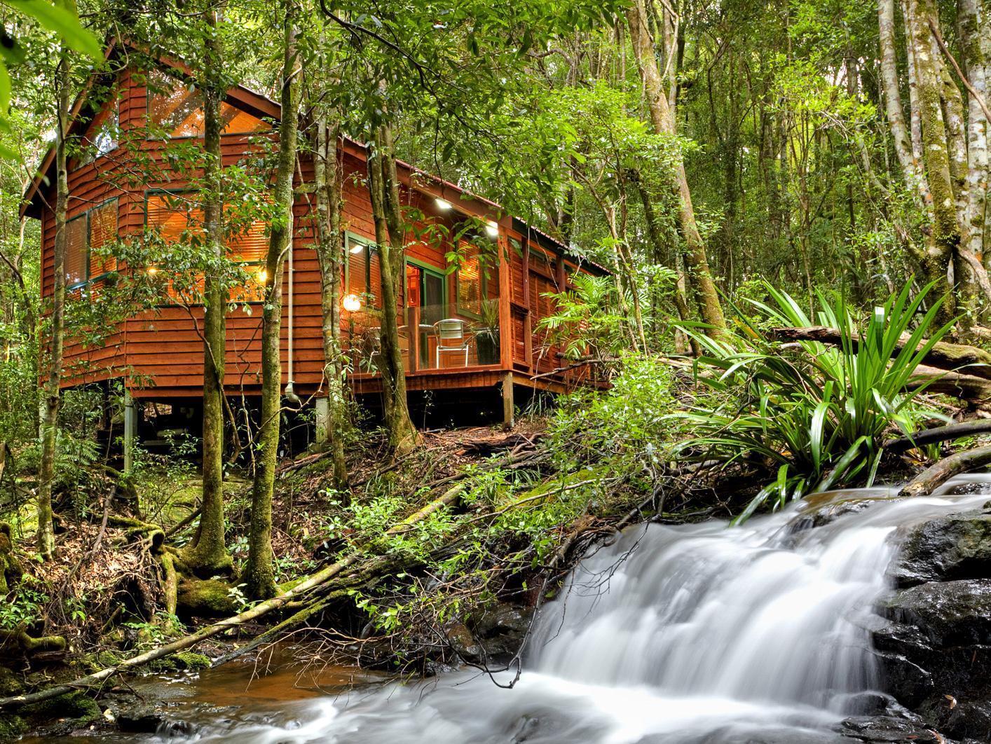 The Mouses House Rainforest Retreat Спрингбрук Екстериор снимка