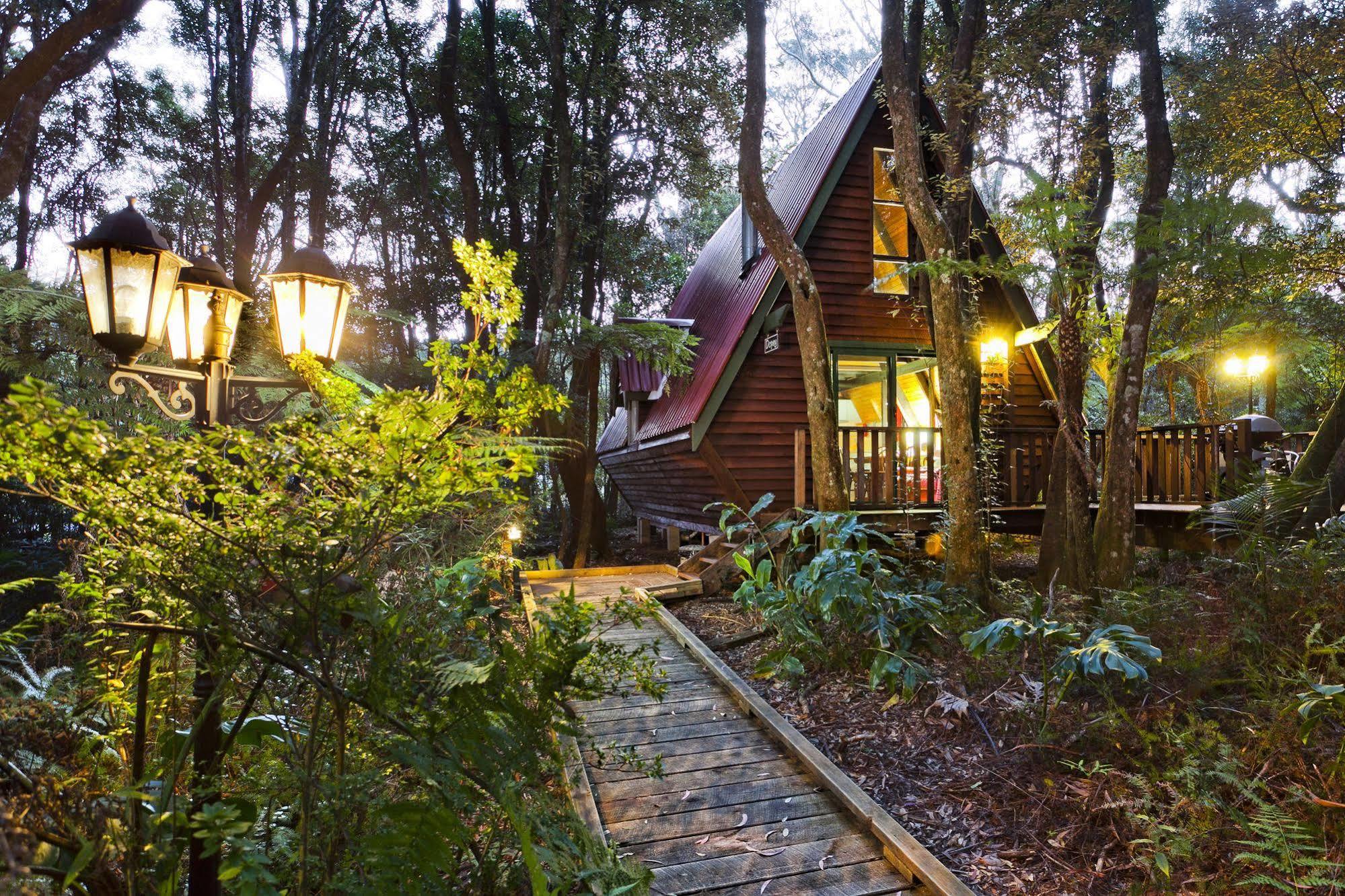 The Mouses House Rainforest Retreat Спрингбрук Екстериор снимка