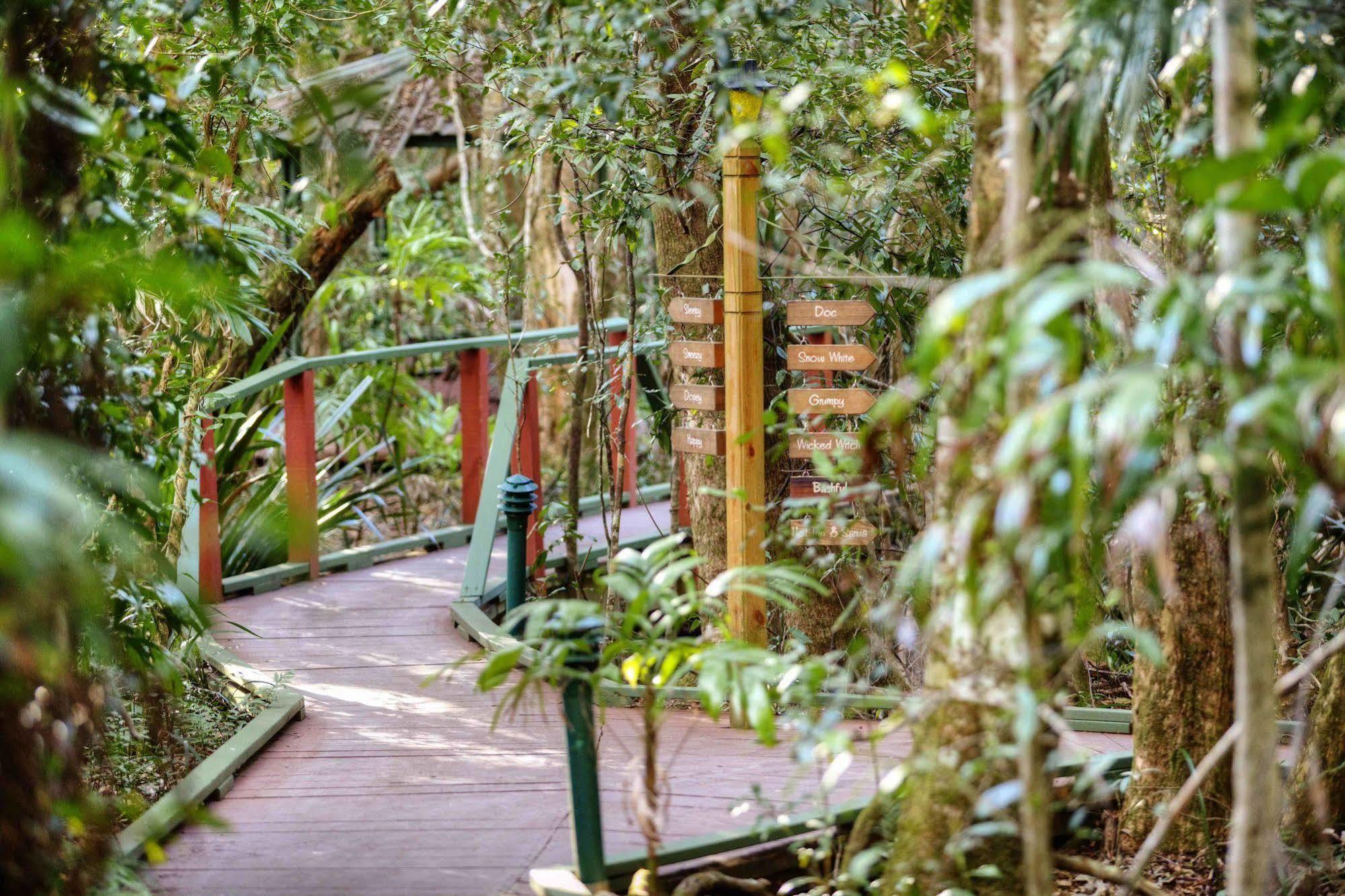 The Mouses House Rainforest Retreat Спрингбрук Екстериор снимка