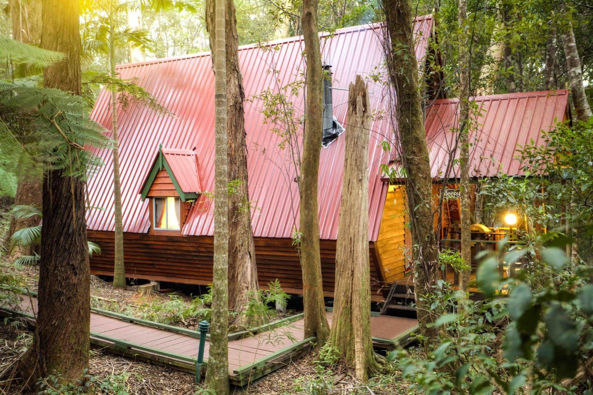 The Mouses House Rainforest Retreat Спрингбрук Екстериор снимка