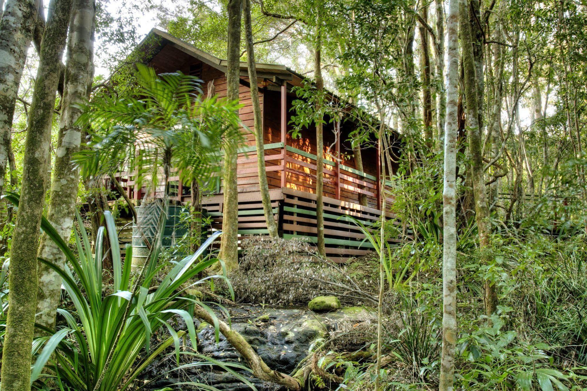 The Mouses House Rainforest Retreat Спрингбрук Екстериор снимка