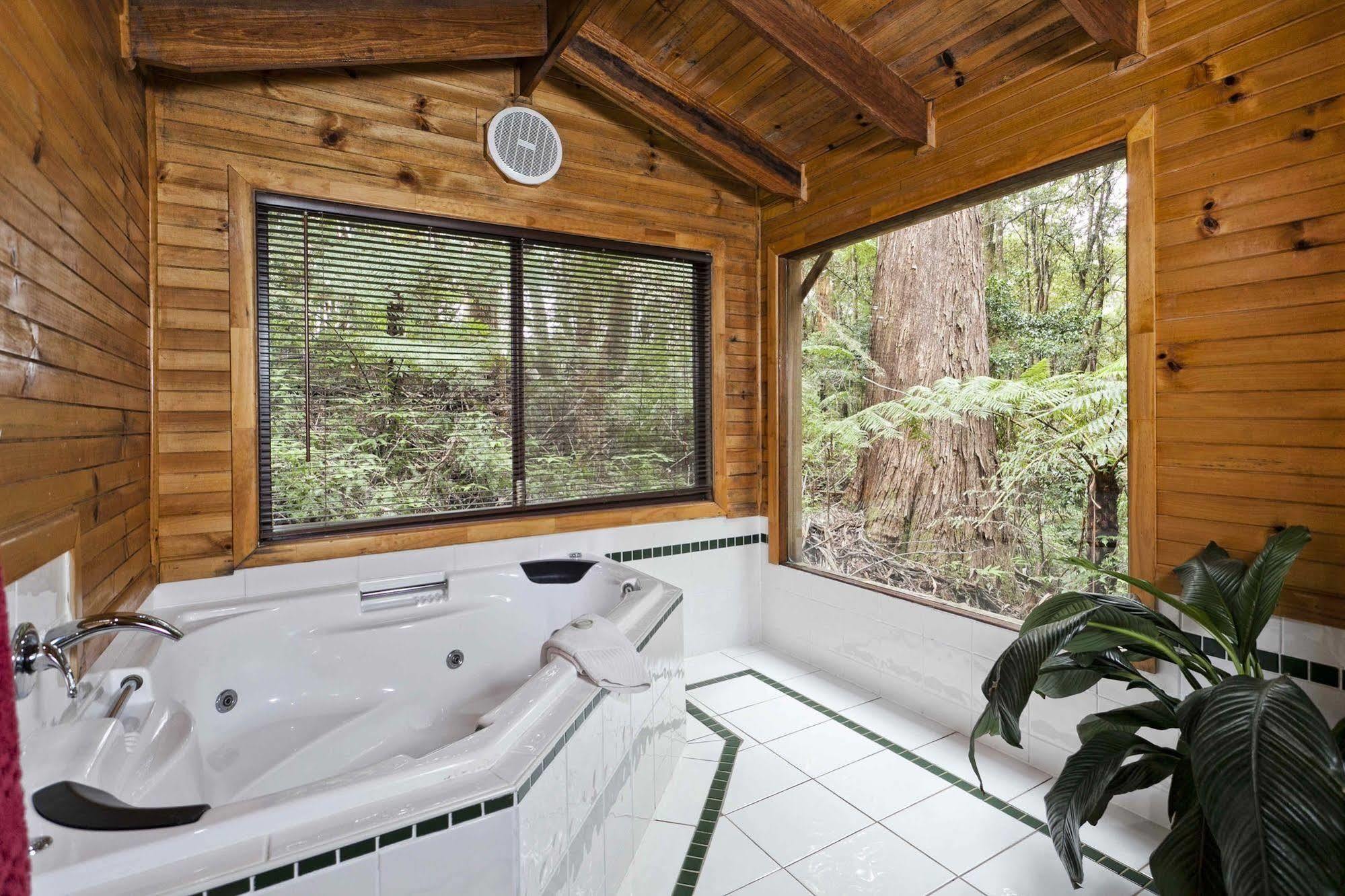 The Mouses House Rainforest Retreat Спрингбрук Екстериор снимка