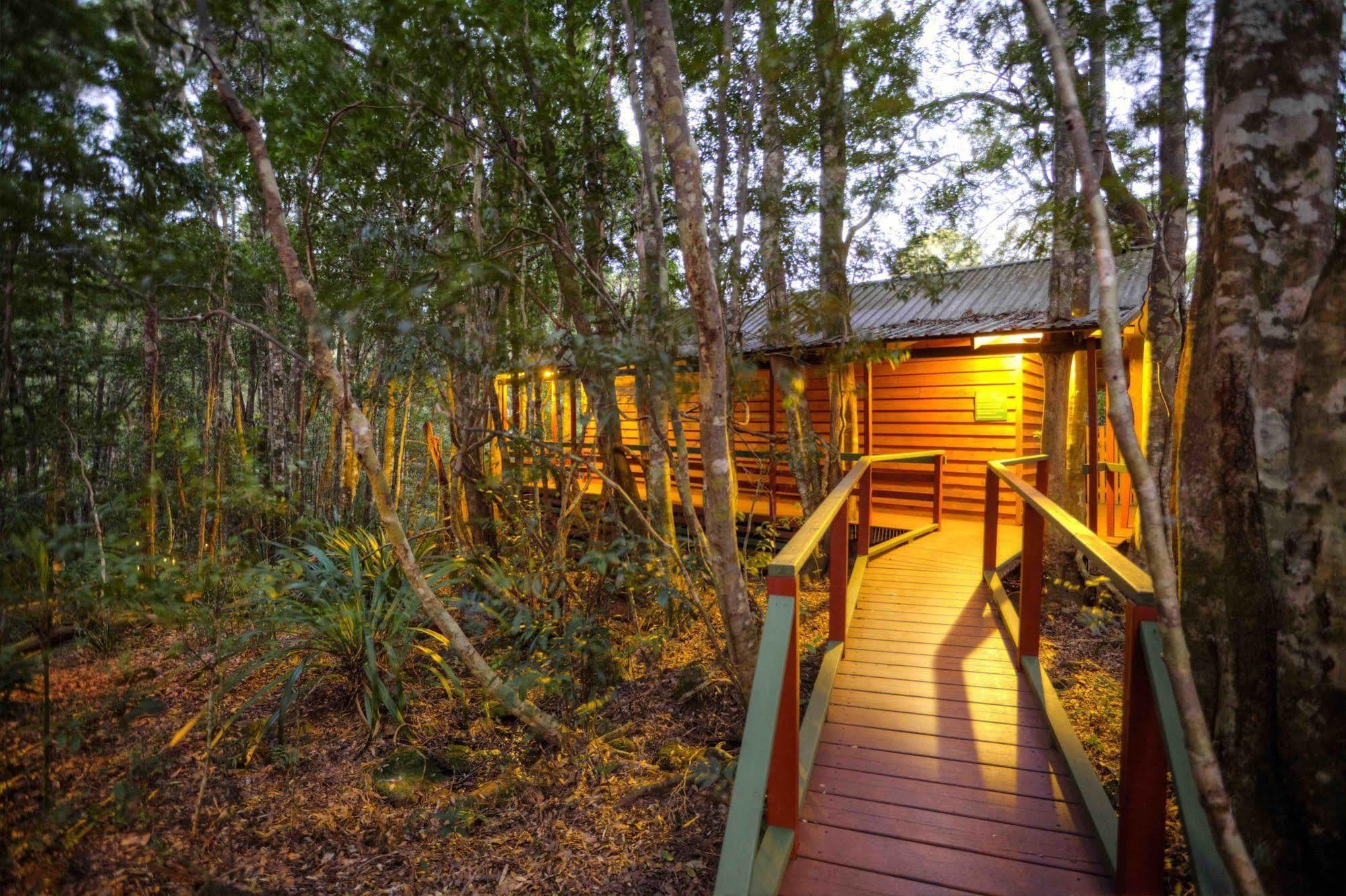 The Mouses House Rainforest Retreat Спрингбрук Екстериор снимка